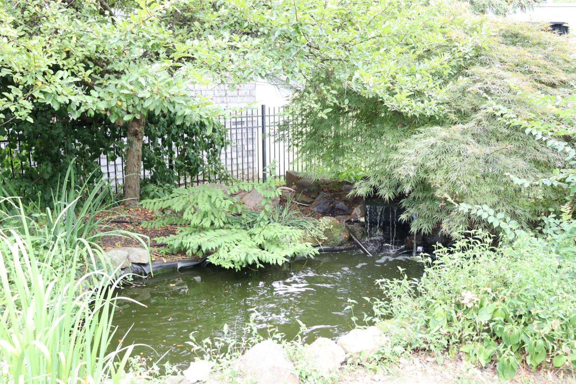 Vaast Bed & Breakfast Adamstown 外观 照片