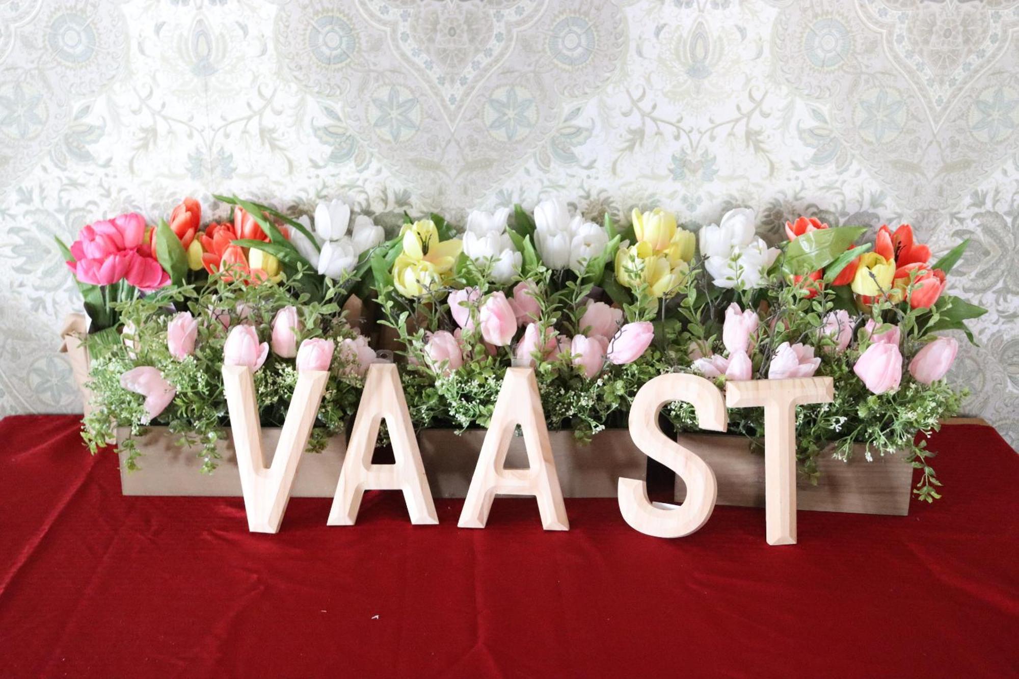 Vaast Bed & Breakfast Adamstown 外观 照片